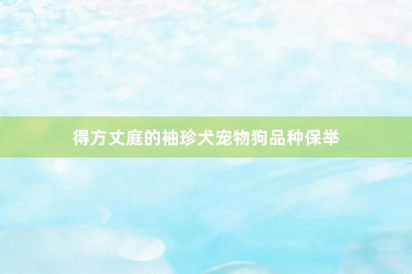 得方丈庭的袖珍犬宠物狗品种保举